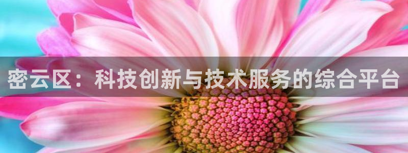 恒行2周74OOO5：密云区：科技创新与技术服务的综合平台