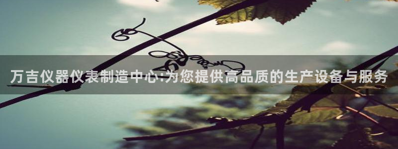恒行主管6ll5l指定：万吉仪器仪表制造中心:为您提供高品质