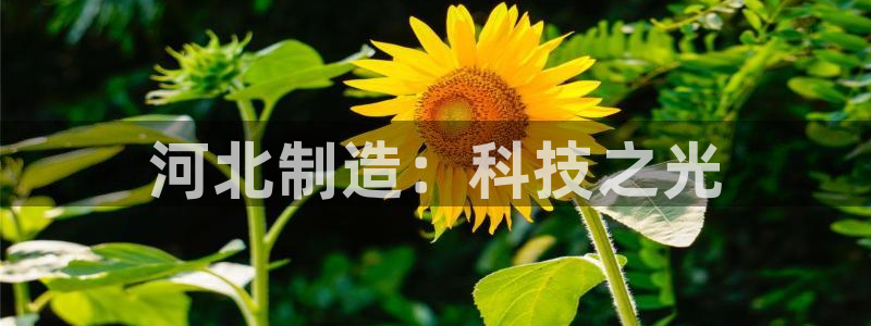 恒行登录老大6ll5l典型：河北制造：科技之光