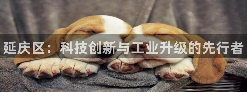 恒行2下74OO5：延庆区：科技创新与工业升级的先行者