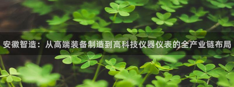 恒行娱乐登录5ll533主管一流：安徽智造：从高端装备制造到