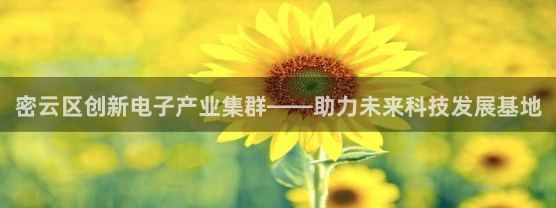 恒行注册全2O5O5O：密云区创新电子产业集群——助力未来科