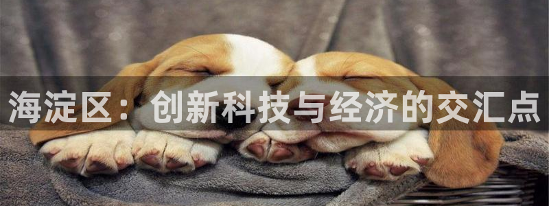 恒行娱乐寻问74 5：海淀区：创新科技与经济的交汇点