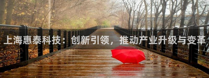 恒行登录就搜6ll5l：上海惠泰科技：创新引领，推动产业升级