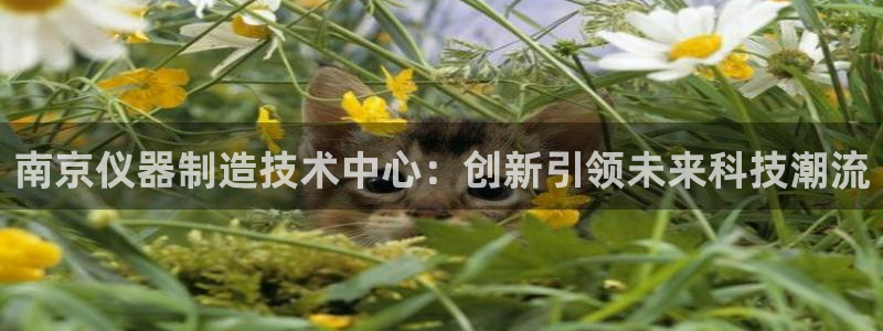 恒在5行中代表什么数字：南京仪器制造技术中心：创新引领未来科