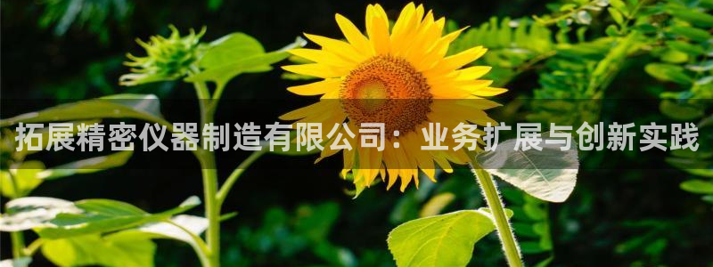 恒行2地74OOO5：拓展精密仪器制造有限公司：业务扩展与创