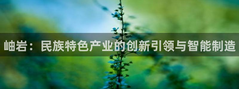 恒行注册全2O5O5O：岫岩：民族特色产业的创新引领与智能制