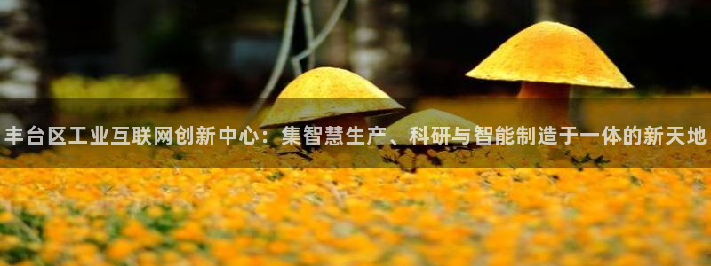 恒行娱乐招收点赞5ll533主管：丰台区工业互联网创新中心：