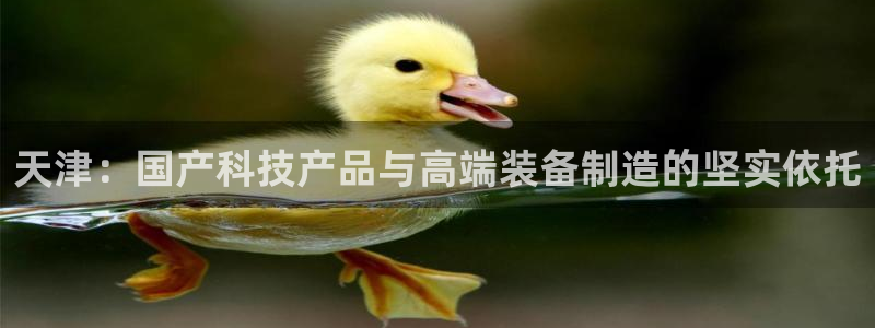 恒行娱乐登录5ll533主管一流：天津：国产科技产品与高端装