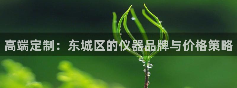 恒行2许74OOO5：高端定制：东城区的仪器品牌与价格策略