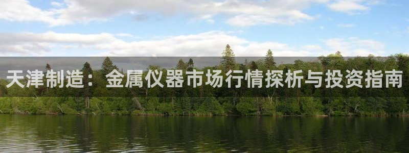 恒行2周74OOO5：天津制造：金属仪器市场行情探析与投资指