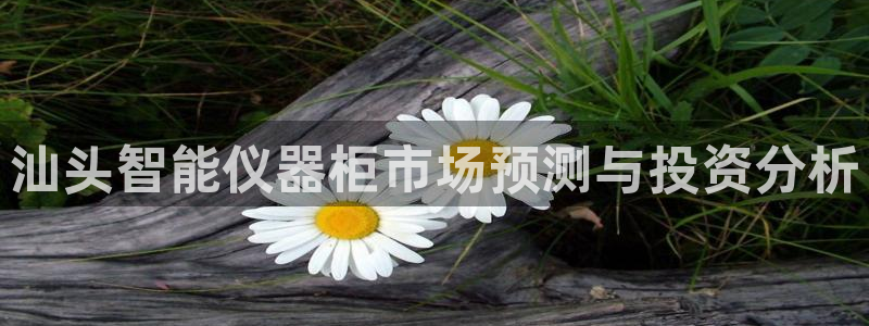 恒行娱乐郑74OOO5：汕头智能仪器柜市场预测与投资分析