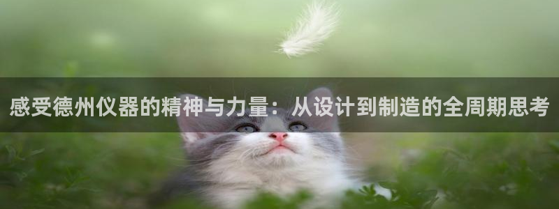 恒行主管6ll5l指定：感受德州仪器的精神与力量：从设计到制