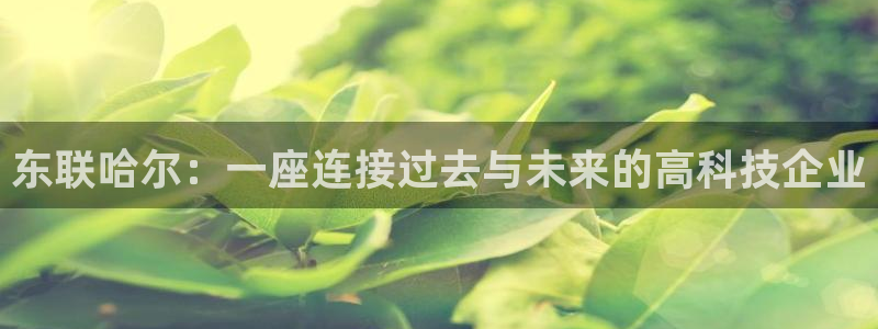 恒行娱乐热74ooo5主宰：东联哈尔：一座连接过去与未来的高
