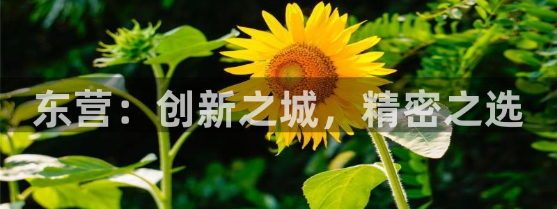 恒行代理总代主导 6ll5l：东营：创新之城，精密之选