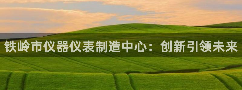 恒行娱乐蒋74OOO5：铁岭市仪器仪表制造中心：创新引领未来