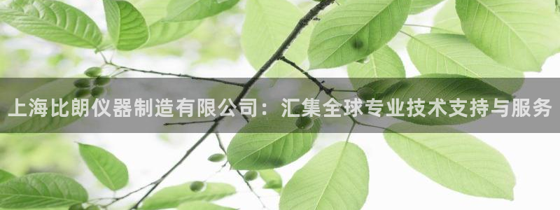 恒行娱乐婆蹬74ooo5盗：上海比朗仪器制造有限公司：汇集全