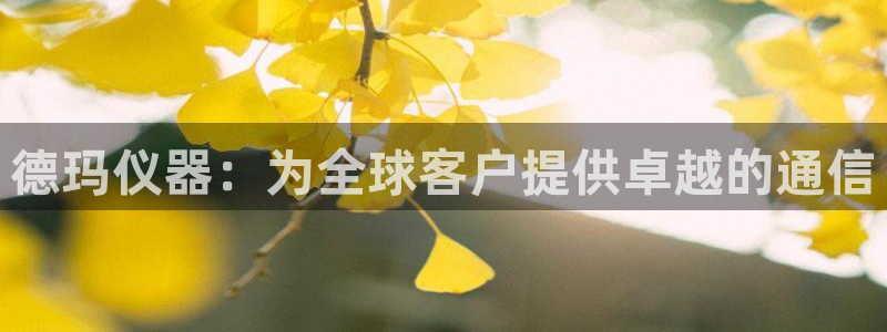 恒行代理总代主导 6ll5l：德玛仪器：为全球客户提供卓越的