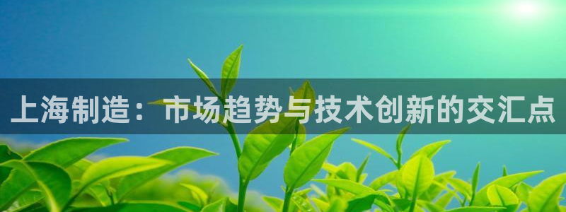 恒行娱乐热74ooo5主宰：上海制造：市场趋势与技术创新的交