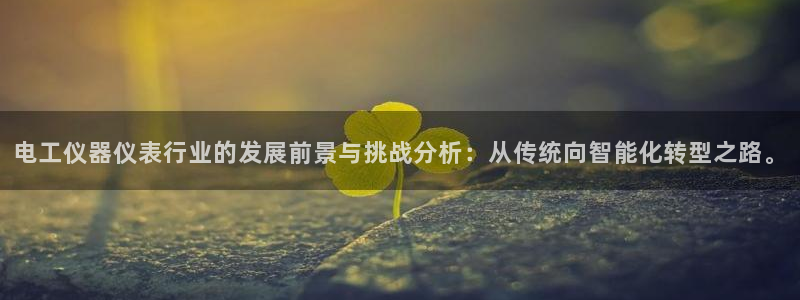 恒行主管总代6ll5l周至：电工仪器仪表行业的发展前景与挑战