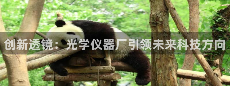 恒行娱乐吕74OOO5：创新透镜：光学仪器厂引领未来科技方向