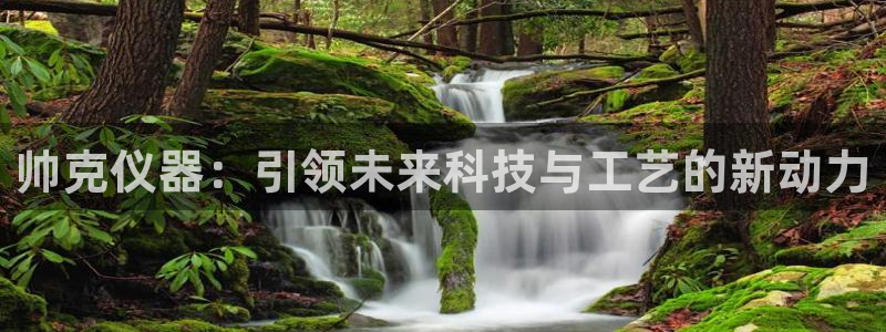 恒行开户娱乐6ll5l特惠：帅克仪器：引领未来科技与工艺的新