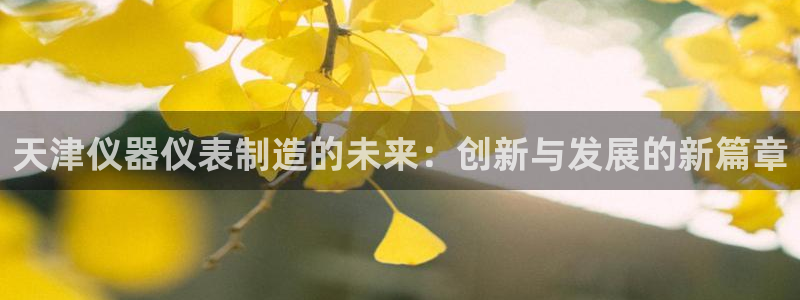 恒行娱乐陈74OOO5：天津仪器仪表制造的未来：创新与发展的