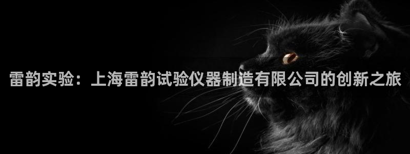 恒行彩票亏5千：雷韵实验：上海雷韵试验仪器制造有限公司的创新