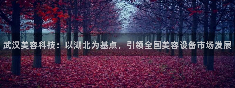 恒行代理总代主导 6ll5l：武汉美容科技：以湖北为基点，引