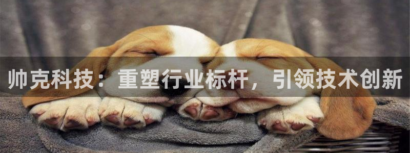 恒行娱乐婆蹬74ooo5盗：帅克科技：重塑行业标杆，引领技术