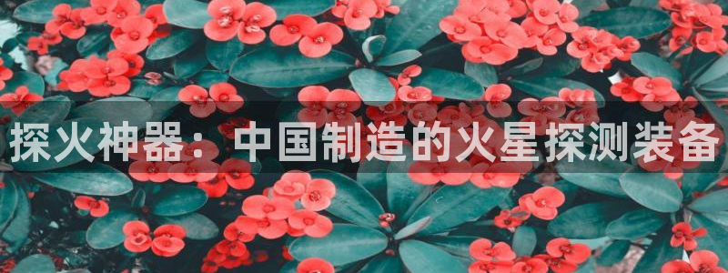 恒行娱乐毓婆74ooo5仪：探火神器：中国制造的火星探测装备