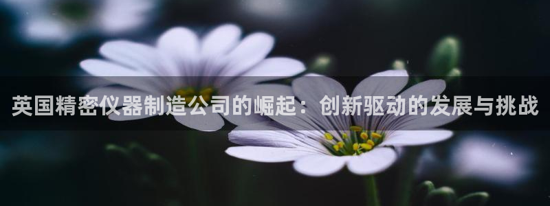 恒行2周74OOO5：英国精密仪器制造公司的崛起：创新驱动的