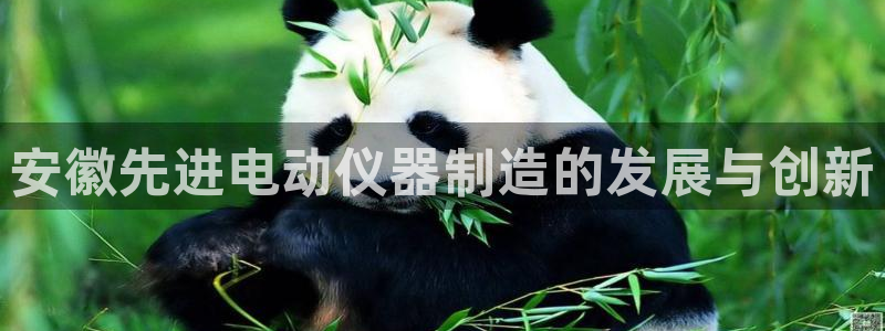 恒行娱乐登录信用 74ooo5：安徽先进电动仪器制造的发展与