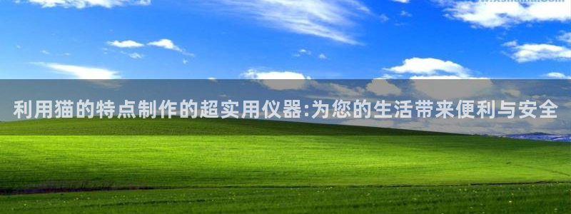 恒行5娱乐：利用猫的特点制作的超实用仪器:为您的生活带来便利