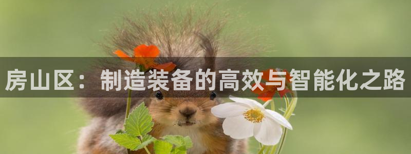 恒行2许74OOO5：房山区：制造装备的高效与智能化之路