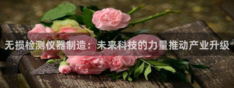 恒行主管6ll5l指定：无损检测仪器制造：未来科技的力量推动