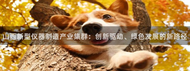 恒行娱乐登录5ll533主管一流：山西新型仪器制造产业集群：
