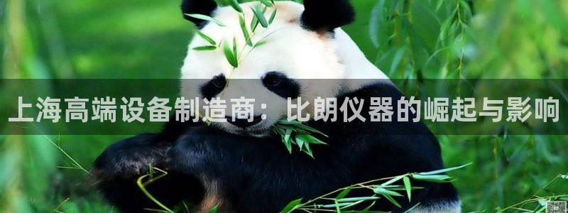恒行2褚74OOO5：上海高端设备制造商：比朗仪器的崛起与影