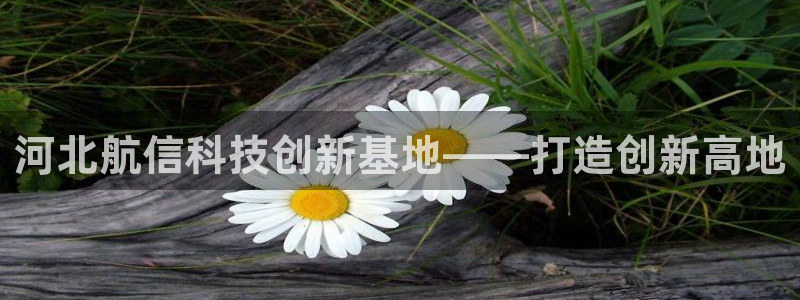 恒行娱乐5ll533主管耐心：河北航信科技创新基地——打造创