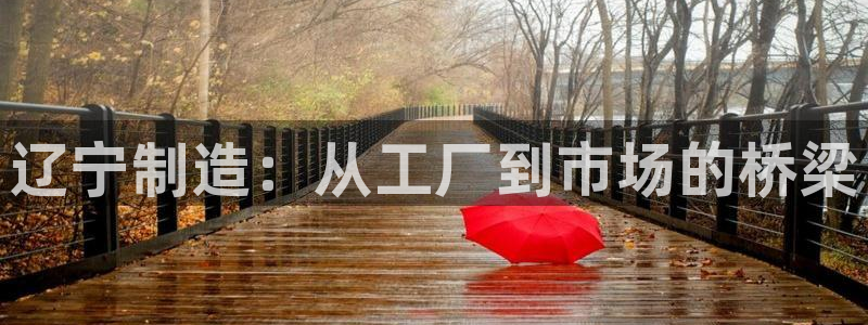 恒行2周74OOO5：辽宁制造：从工厂到市场的桥梁