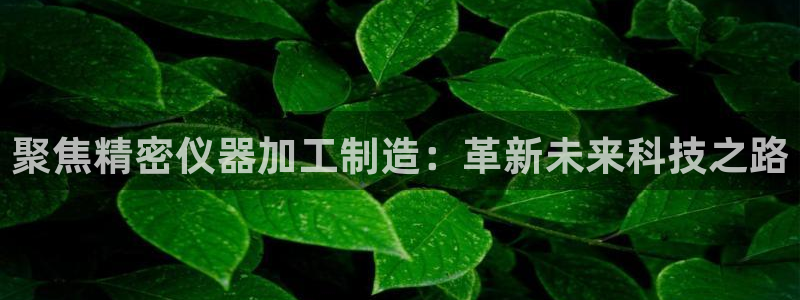 恒行2那74OO5：聚焦精密仪器加工制造：革新未来科技之路
