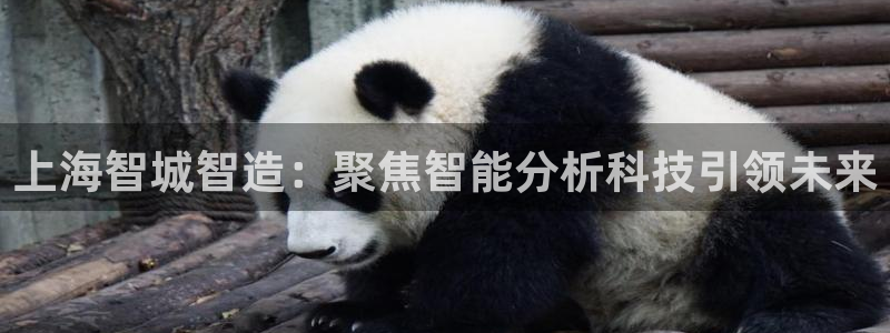 恒行主管招收 6ll5l出奇：上海智城智造：聚焦智能分析科技