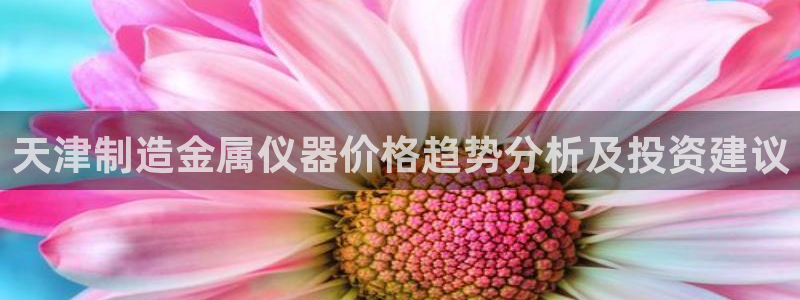 恒行娱乐芍皇74ooo5蛹：天津制造金属仪器价格趋势分析及投