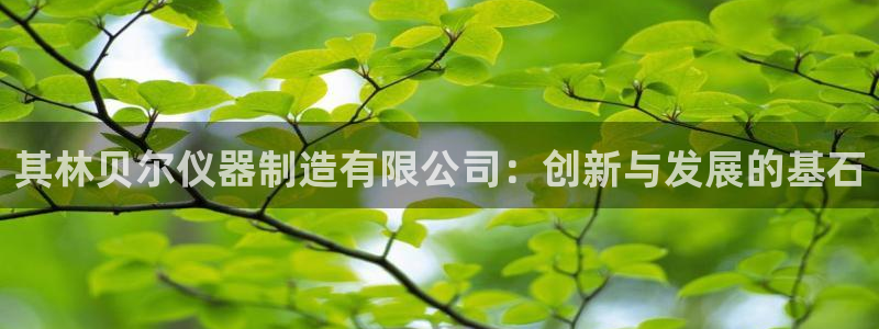 恒行2那74OO5：其林贝尔仪器制造有限公司：创新与发展的基