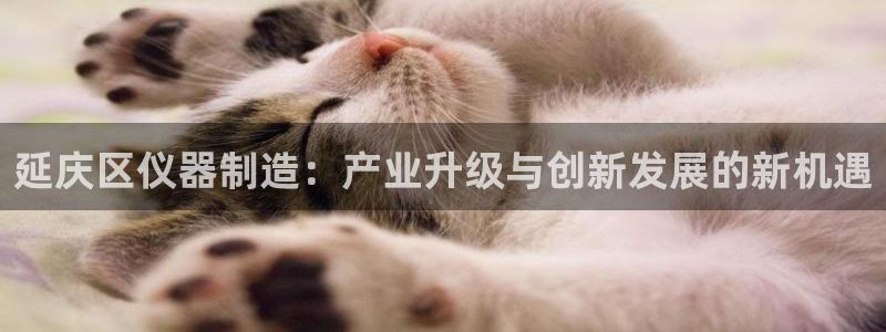 恒行娱乐度74ooo5聘霖：延庆区仪器制造：产业升级与创新发