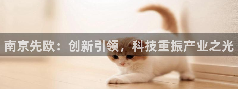 恒行2杨74OOO5：南京先欧：创新引领，科技重振产业之光