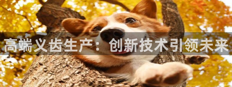 恒行娱乐吴74OOO5：高端义齿生产：创新技术引领未来