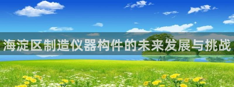 恒行娱乐郑74OOO5：海淀区制造仪器构件的未来发展与挑战