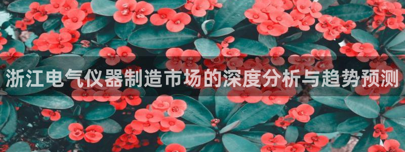 恒行主管首问6ll5l：浙江电气仪器制造市场的深度分析与趋势
