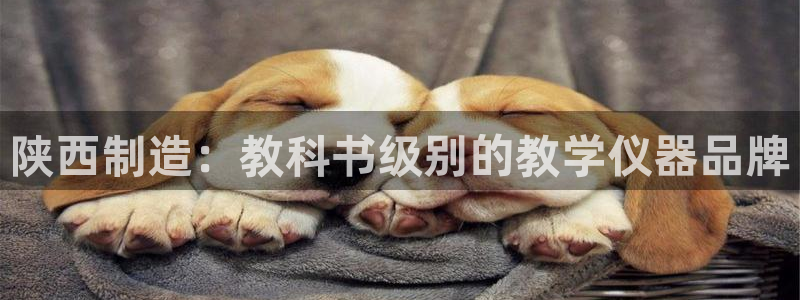 恒行娱乐登录信用 74ooo5：陕西制造：教科书级别的教学仪